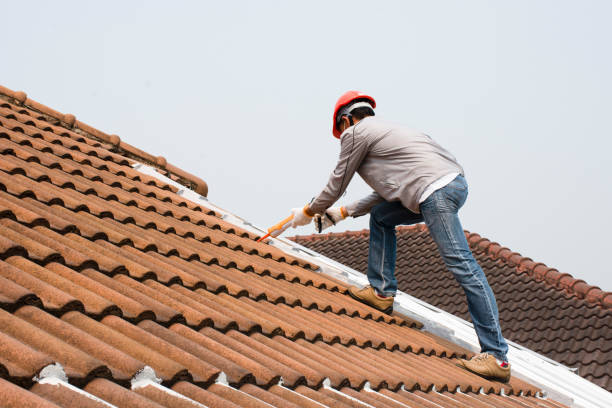 Best Solar Panel Roofing Installation  in Felida, WA